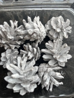 Dekorační šišky 4cm bílé 