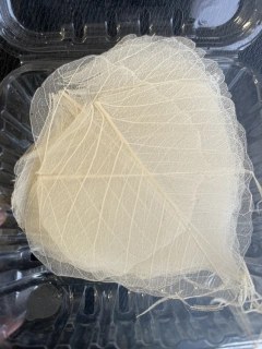 Dekorační listy 10cm béžové 