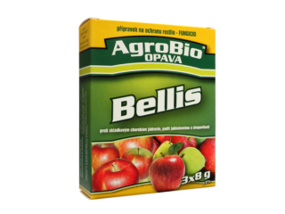 Bellis - 3x8g
